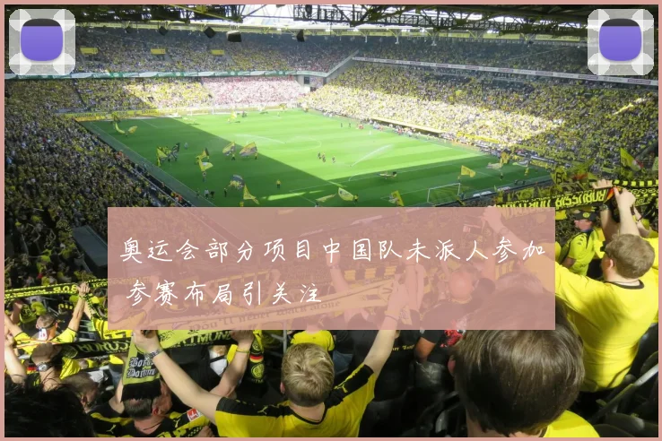 奥运会部分项目中国队未派人参加 参赛布局引关注