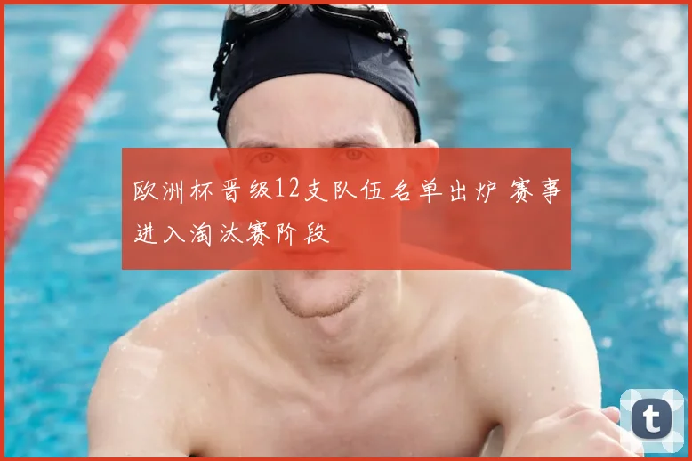 欧洲杯晋级12支队伍名单出炉 赛事进入淘汰赛阶段