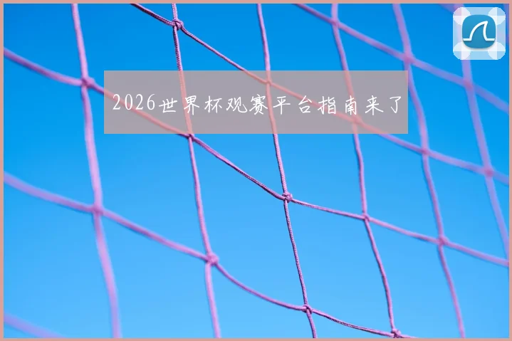 2026世界杯观赛平台指南来了